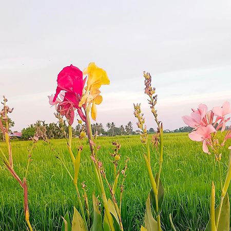 Kurau Inn Farmstay Kuala Kurau Extérieur photo