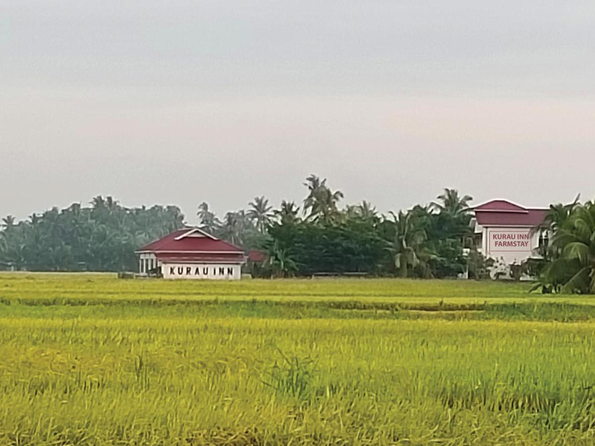 Kurau Inn Farmstay Kuala Kurau Extérieur photo