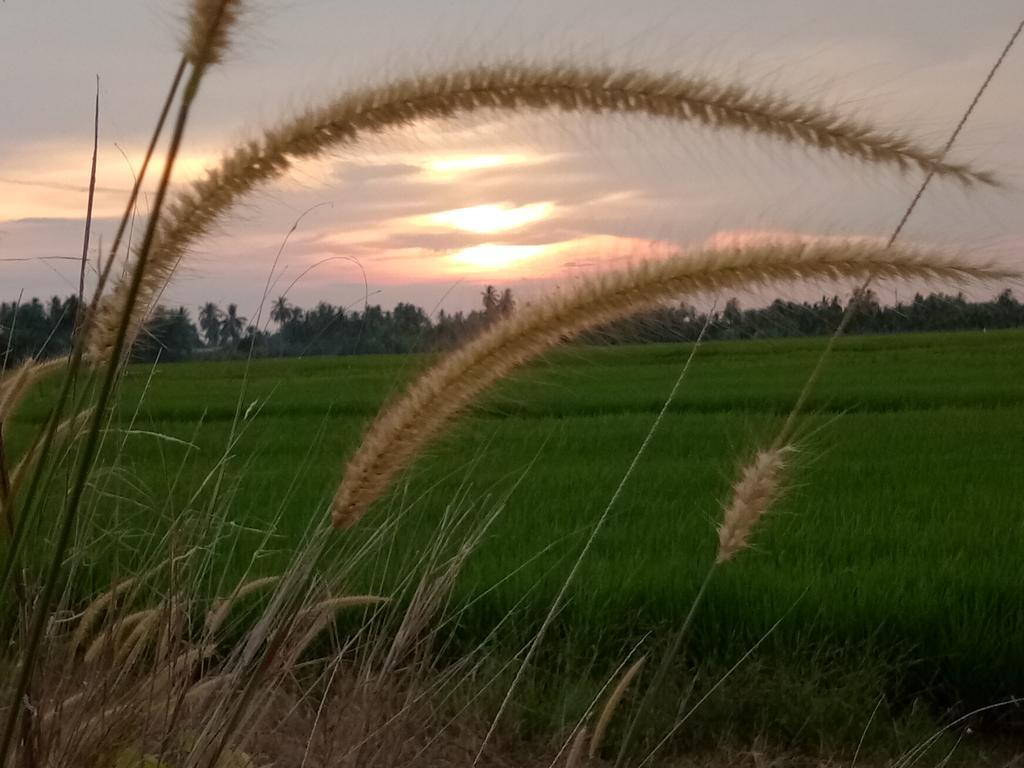 Kurau Inn Farmstay Kuala Kurau Extérieur photo